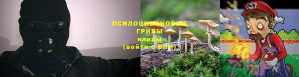 прущая мука Михайловск