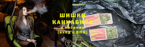 spice Михайлов