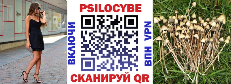 blacksprut сайт  Магнитогорск  Галлюциногенные грибы GOLDEN TEACHER 