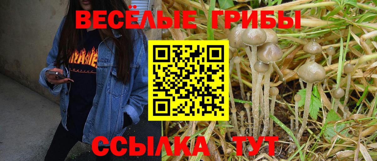 Псилоцибиновые грибы MAGIC MUSHROOMS Магнитогорск